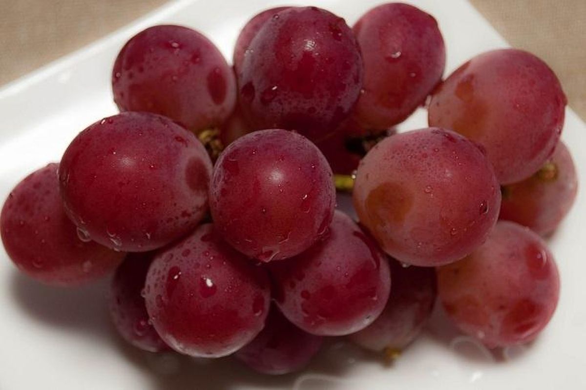 Khasiat mengkonsumsi buah anggur